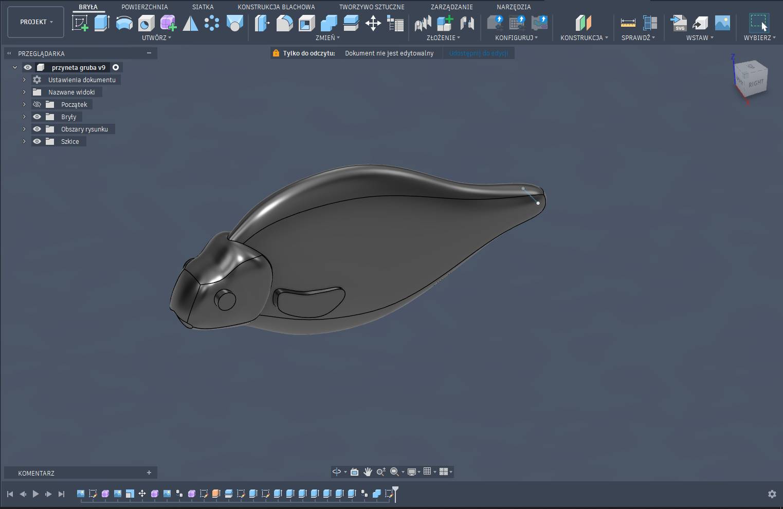 Projekt grubej ryby CAD