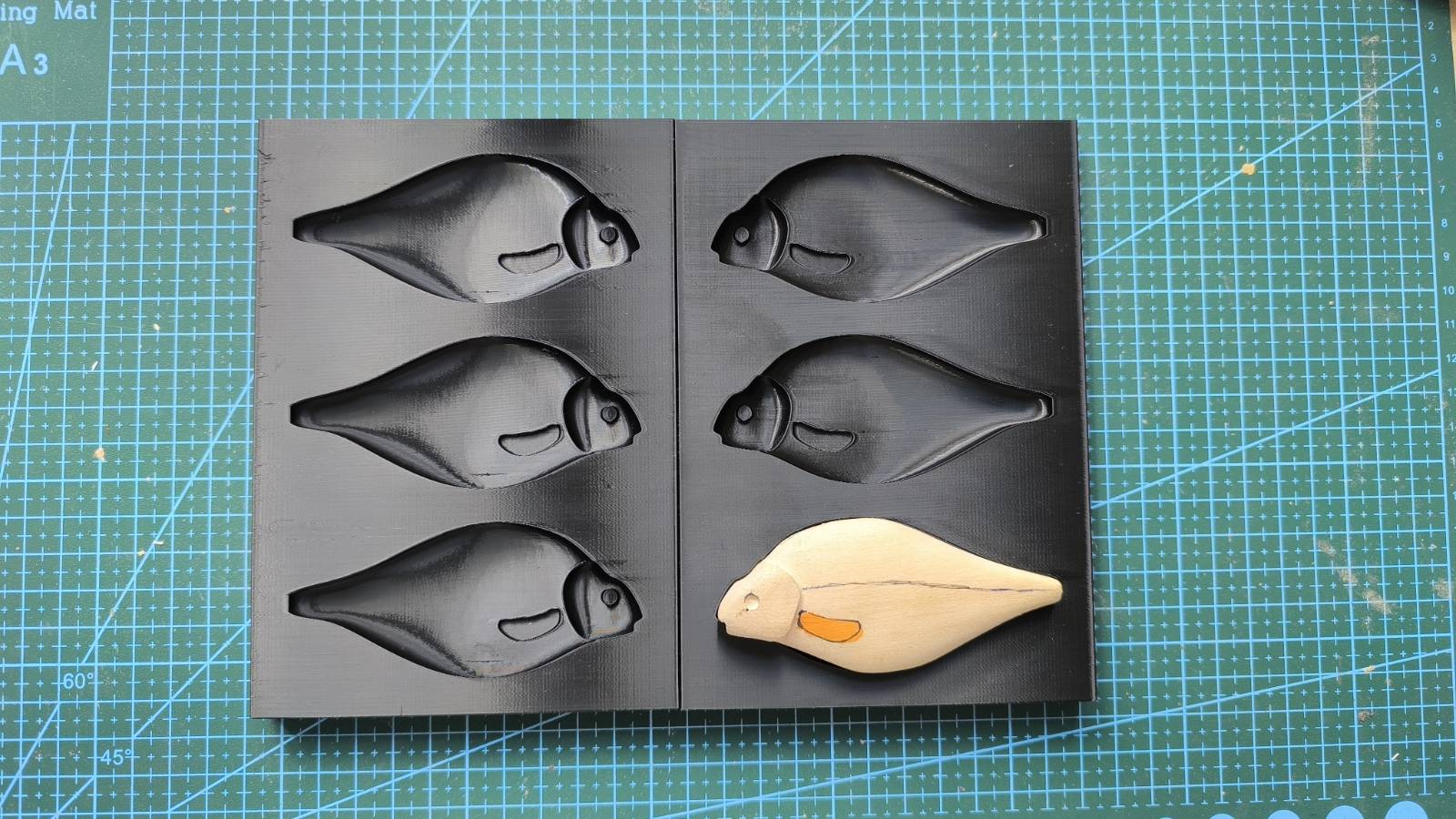 Test formy na największy model ryby